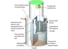 Панда Киота 8